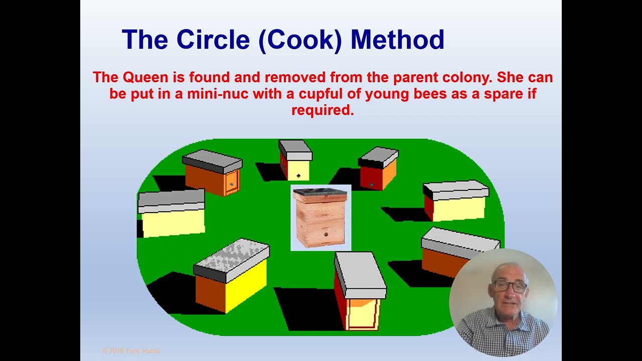 Session 4 The Cook Circle
