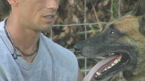 Obedience without Conflict with Ivan Balabanov: Clear Communication (Deutsch)