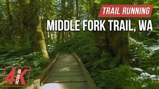 Trail Running along Middle Fork Trail  4K Virtual Forest Run for Treadmill Workout (Nature Sounds)