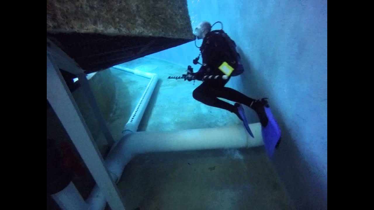 My amazing scuba dive with sharks at the aquarium in Manteo, N.C. (Part