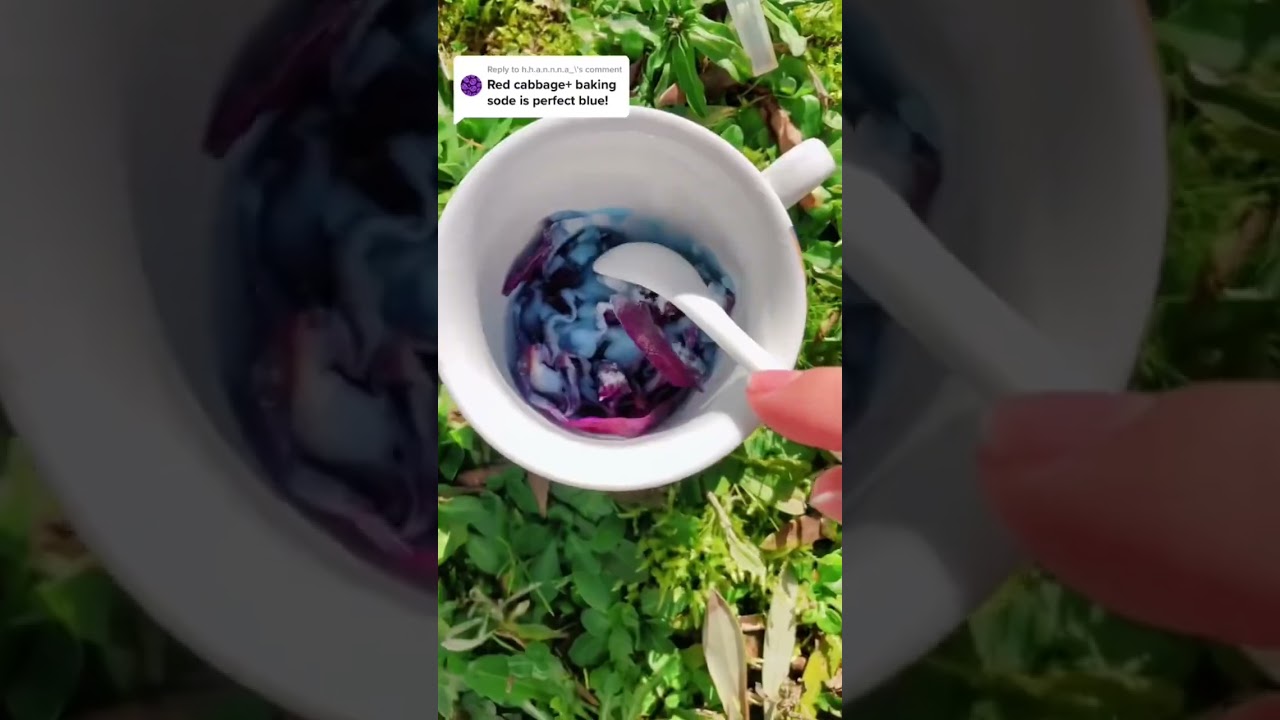 Making the perfect blue natural paint from purple cabbage 