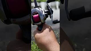 2021 Daiwa ZILLION SV TW #shot #shots #fishingvideo #daiwafishing #fishing #daiwareels #angling