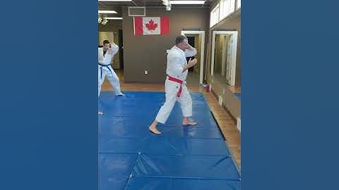 16 basic elbow strikes