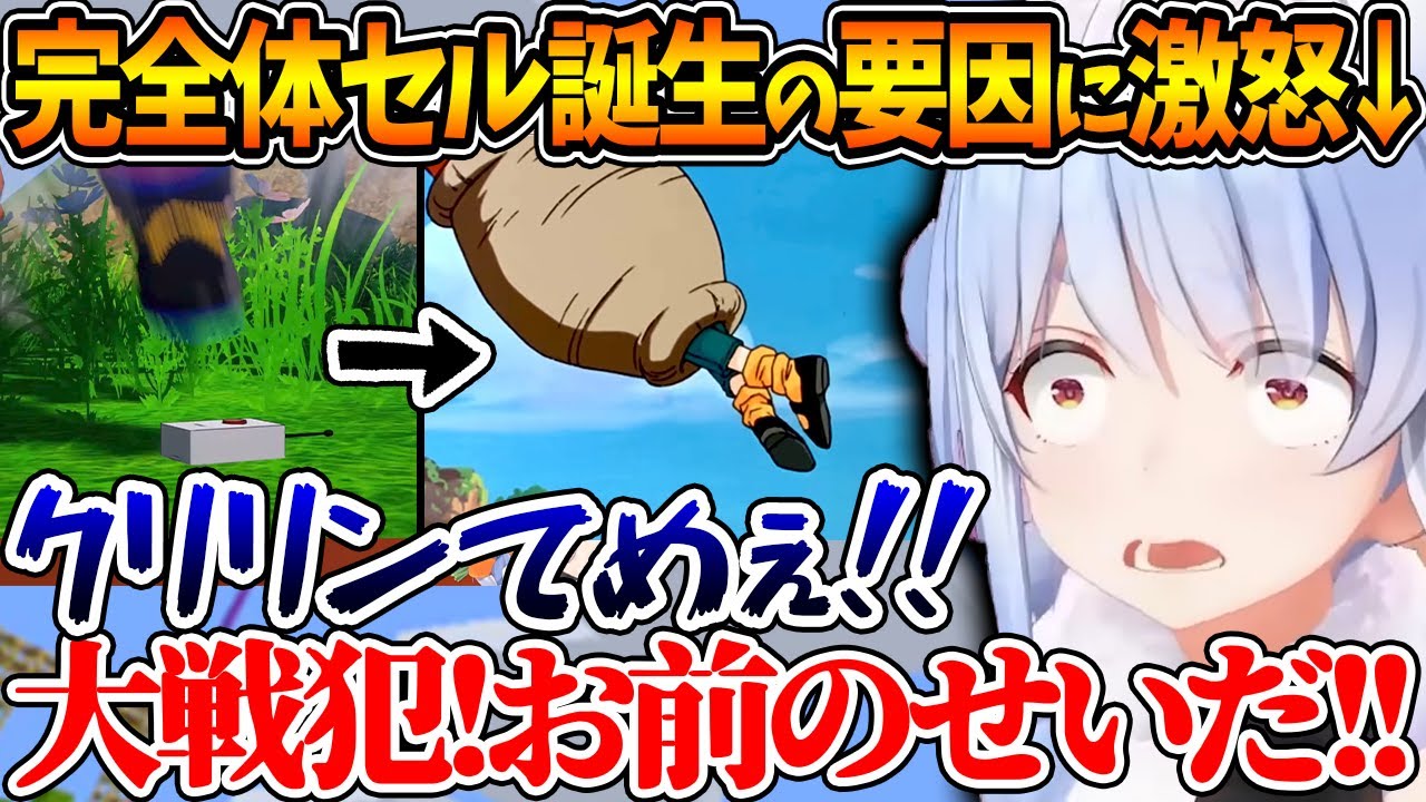 完全体セルが誕生する要因の一つ、クリリンの18号に対しての甘さにぶち切れるぺこらｗ【ホロライブ/切り抜き/VTuber/ 兎田ぺこら 】