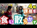 4級食い散らかして上達できる！？【ガレーラボルダリング女子】