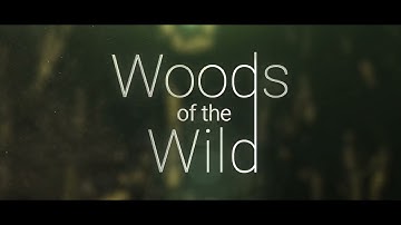 Sonuscore Composer Of The Year Award 2023 Submission Dmitry Efimov #COTY2023