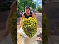 🌰 Green-Skin Hazelnuts with Skin | Naturally Sweet | Farm-Fresh