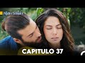 Pájaro soñador - Capitulo 37 (Audio Español) | Erkenci Kuş