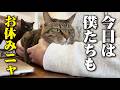 たまにはこんな日があってもいいですよね…