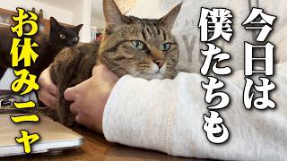 たまにはこんな日があってもいいですよね…