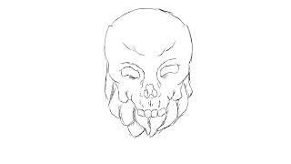 Random Animation 1