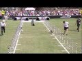 30 Weave Pole Finals - 2014 Purina® Pro Plan® Incredible Dog Challenge Eastern Regionals 30 Weave Pole Finals - 2014 Purina® Pro Plan® Incredible Dog Challenge Eastern Regionals