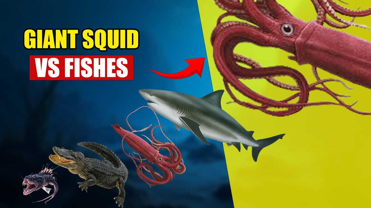 Gaint Squid vs Every Fish Species | Animal Size Comparison 2025