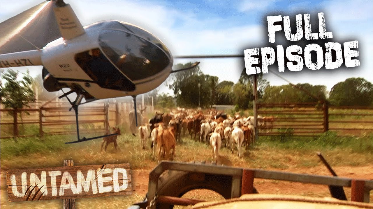 Living Off The Grid On Australia's Most Remote Cattle Station!
