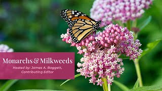 Monarchs and Milkweeds | Garden Gate Seminars