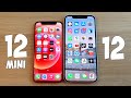 IPHONE 12 MINI VS IPHONE 12 - В ЧЕМ РАЗНИЦА? КАКОЙ ЛУЧШЕ ВЫБРАТЬ? ПОЛНОЕ СРАВНЕНИЕ!