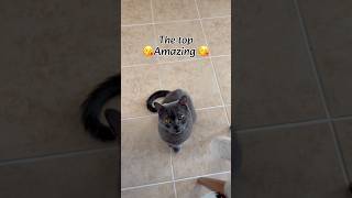 Do You Agree ? Aynı Fikirde Misiniz?