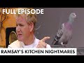 &quot;The Freshest Thing In This Kitchen, Is That Pigeon&quot; | Kitchen Nightmares