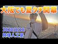 【貝塚人工島】大阪でも2020夏太刀魚釣り開幕!!【ショアジギング】~釣り初心者にオススメ~