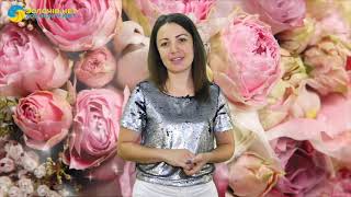 Програма “Вітання”| 01.09.2018 Програма “Вітання”| 01.09.2018