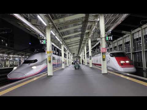 E4系MaxとEast-i、高崎駅で最後の共演