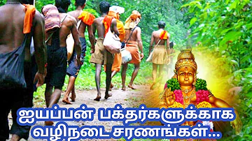 ஐயப்பன் வழிநடை சரணங்கள் ஐயப்பன் பக்தர்களுக்காக.. @ayyappasangam #ayyappa #sabarimala