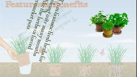 Introduction to the NAPAC Biodegradable pots