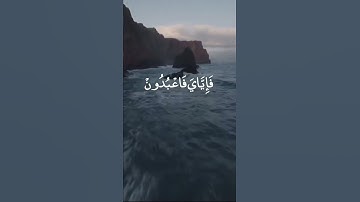 سورة العنكبوت-الآية 56 القارئ: عبد الرحمن مسعد