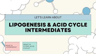 Lipid Metabolism: Lipogenesis & Acid Cycle Intermediates