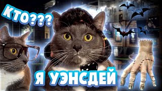 Если Бы Котики Ходили В Магазин - Уэнсдей