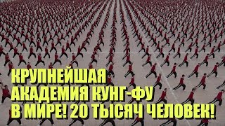 Крупнейшая в мире академия боевых искусств (кунг фу)