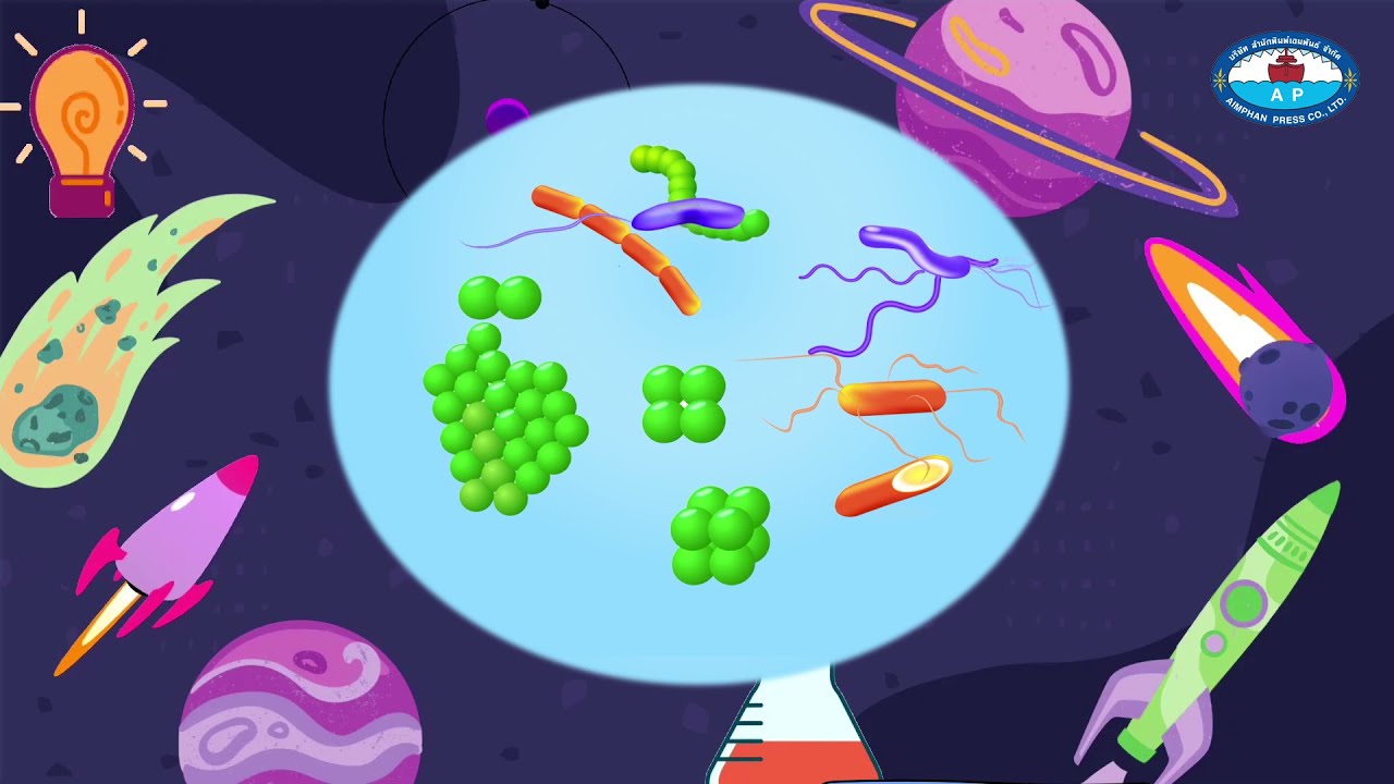 4  รูปร่างของแบคทีเรีย