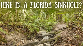 Why You Should Hike Through Hidden Waters in Eustis, FL