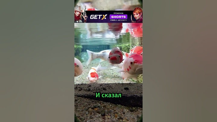 Отец плохого не скажет...