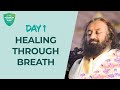 Healing through breath  day 1 of 10 days breath and meditation journey with gurudev