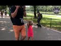 18 Month Old Chihuahua: Shadow | Amazing Confidence Building | Northern Virginia Dog Trainers 18 Month Old Chihuahua: Shadow | Amazing Confidence Building | Northern Virginia Dog Trainers
