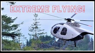 Extreme Helicopter Logging | Filming an Amazing Pilot in Action | Special Presentation Hughes 500d