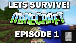 How to survive MINECRAFT :D S1E1