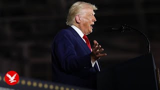 'Is that a radical left lunatic' Trump shouts at crowd during Michigan rally