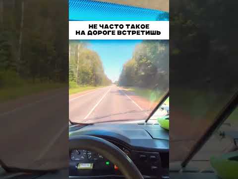 Не часто такое встретишь 👍🏻 🤯