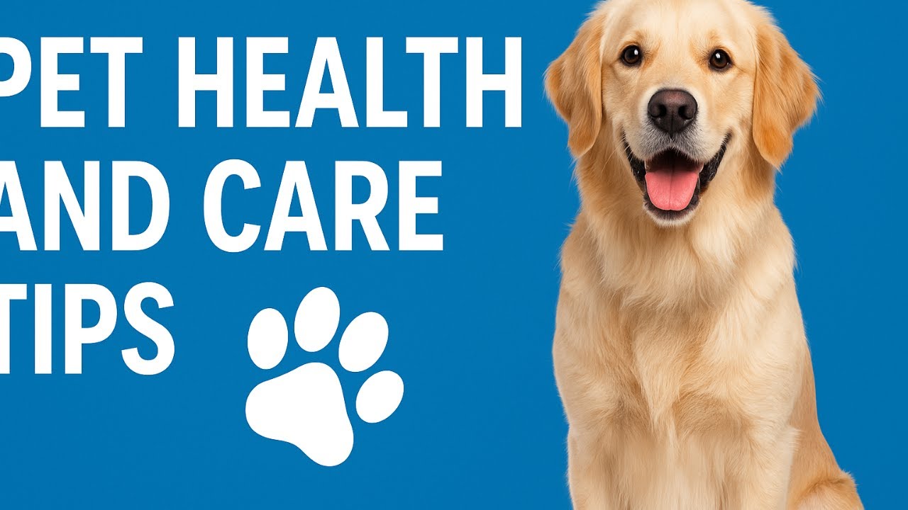 Quick Pet Health Tips You Can’t Miss | Dog & Cat Care Made Easy