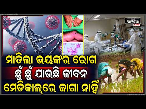 ମାତିଲା ଭୟଙ୍କର ରୋଗ, ରାଜ୍ୟରେ କୋକୁଆ ଭୟ, ନେଲାଣି ଶହଶହ ଜୀବନ, ପଡି ପଡି ପଚୁଛି କୁଢ଼କୁଢ଼...