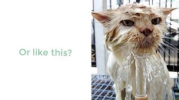 DECO 7230 video prototype - AQUA