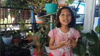 Peramah dan Sopan - Fatiha Nada Kirana