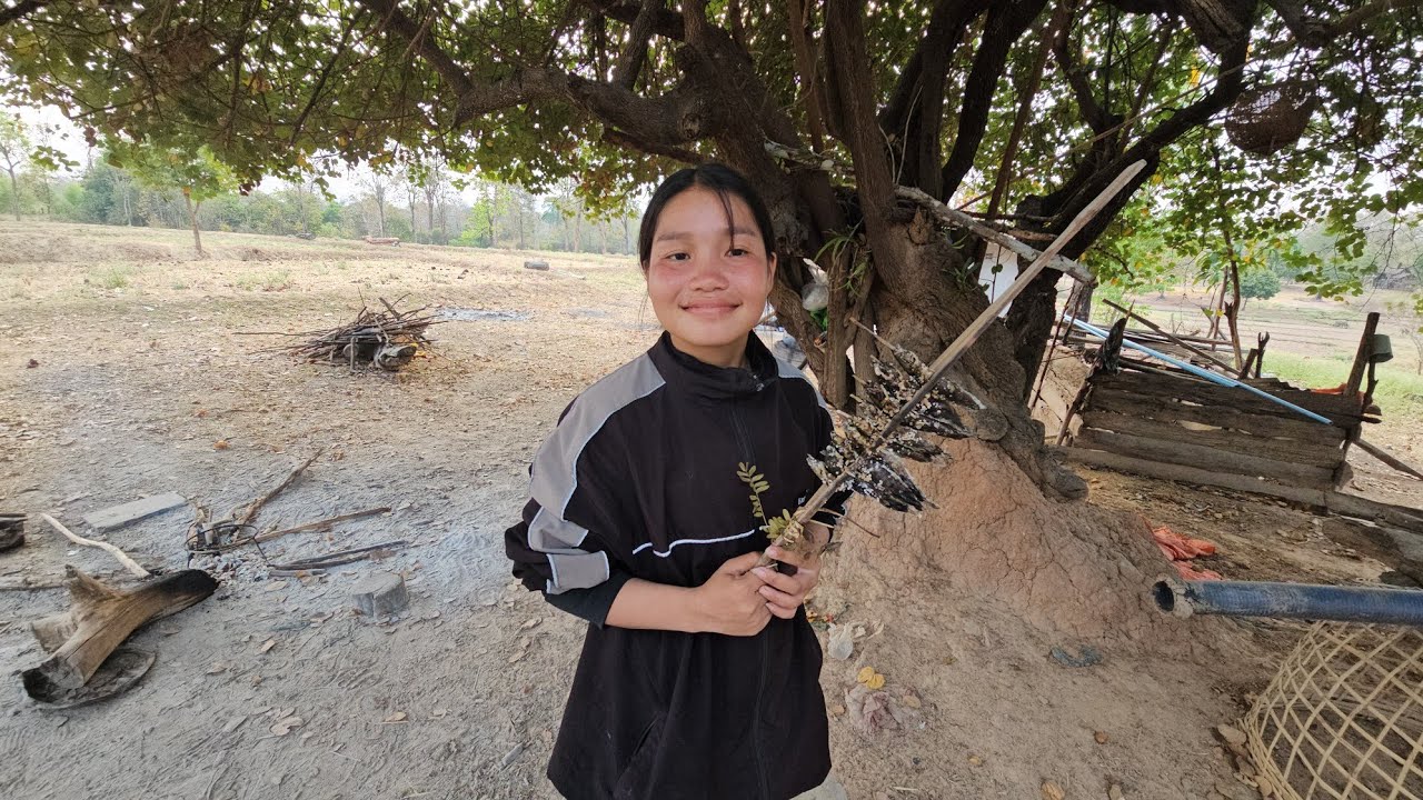 น้องน้อยปิ้งปลาให้กินตั้งแต่ 15:00 จน 5 โมงถืงได้กิน​ 25 กุมภาพันธ์ ค.ศ. 2026