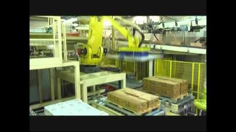 Palletizing robot with Vuototecnica double Octopus head