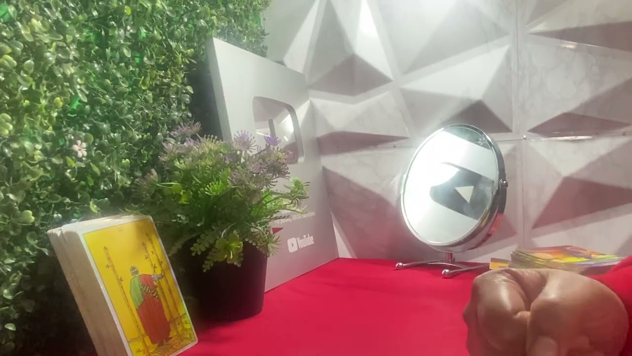 TAURO VAS A RECIBIR Mucha  ILUMINACIÓN PARA SACAR ADELANTE UN PROYECTO GRANDE🏆💰🎉🎁