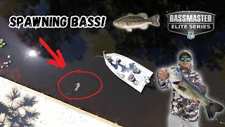 Bass Fishing one of FLORIDA'S greatest fisheries! (St Johns River)