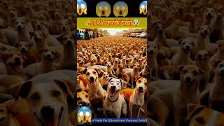 #viral #viralvideo #viralshorts #viral #kutta #shortsvideo #shorts