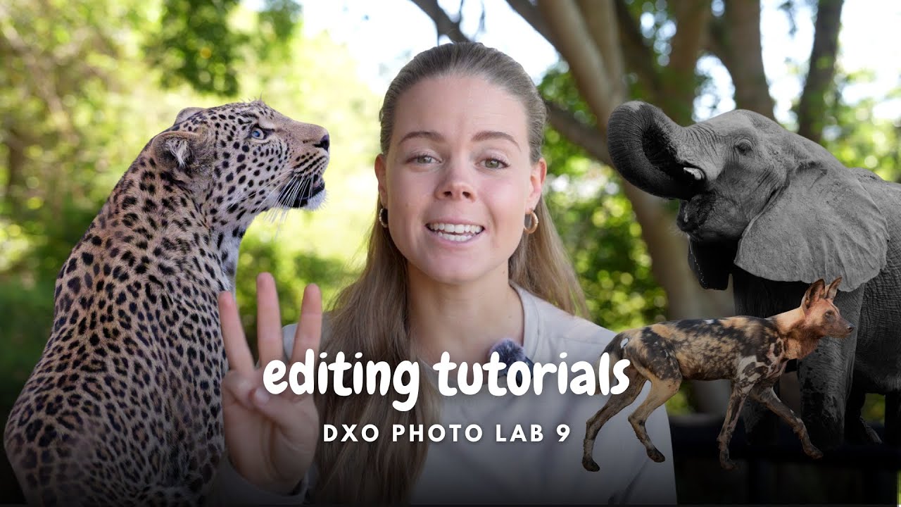 Учебное пособие по редактированию DxO Photo Lab 9 — фотография дикой природы